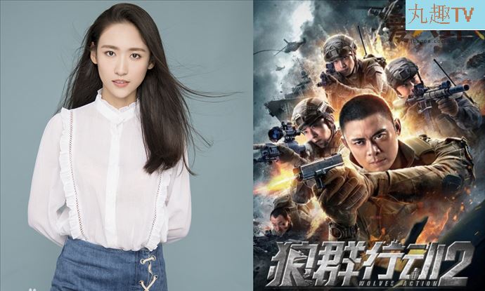 狼群行动 2 怎么样